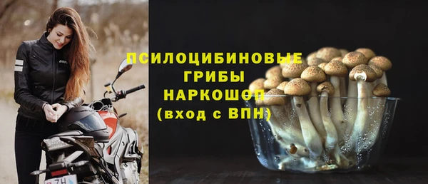 крисы Горно-Алтайск