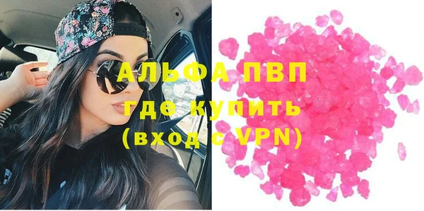стаф Гвардейск