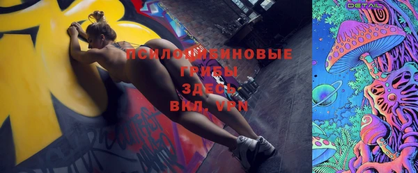 крисы Горно-Алтайск