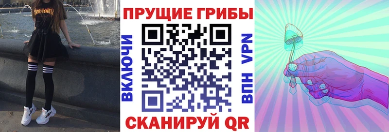 где купить наркоту  Давлеканово  Псилоцибиновые грибы мухоморы 